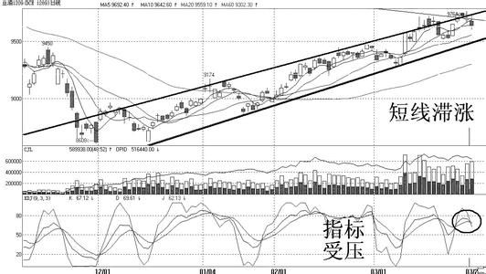 转基因问题发酵 豆油价格受压